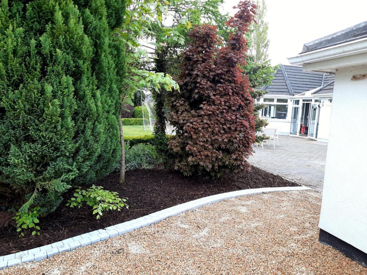 Killenard Self Catering Accommodation Exterior photo